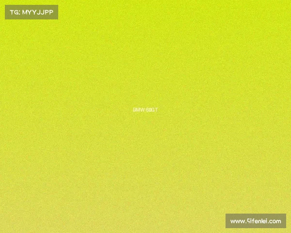 BMW 6系GT
